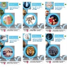 English Bridging Units - All Year Groups (RES247)