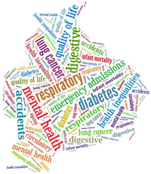 Health inequalities word cloud