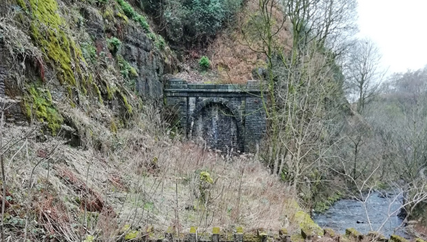 Thrutch Tunnel No 1 has been bricked up for many years.