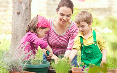 Planting and growing