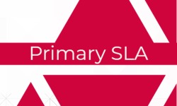 Primary Academy SLA