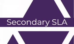 Secondary Academy SLA