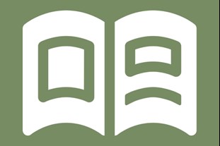 curriculum