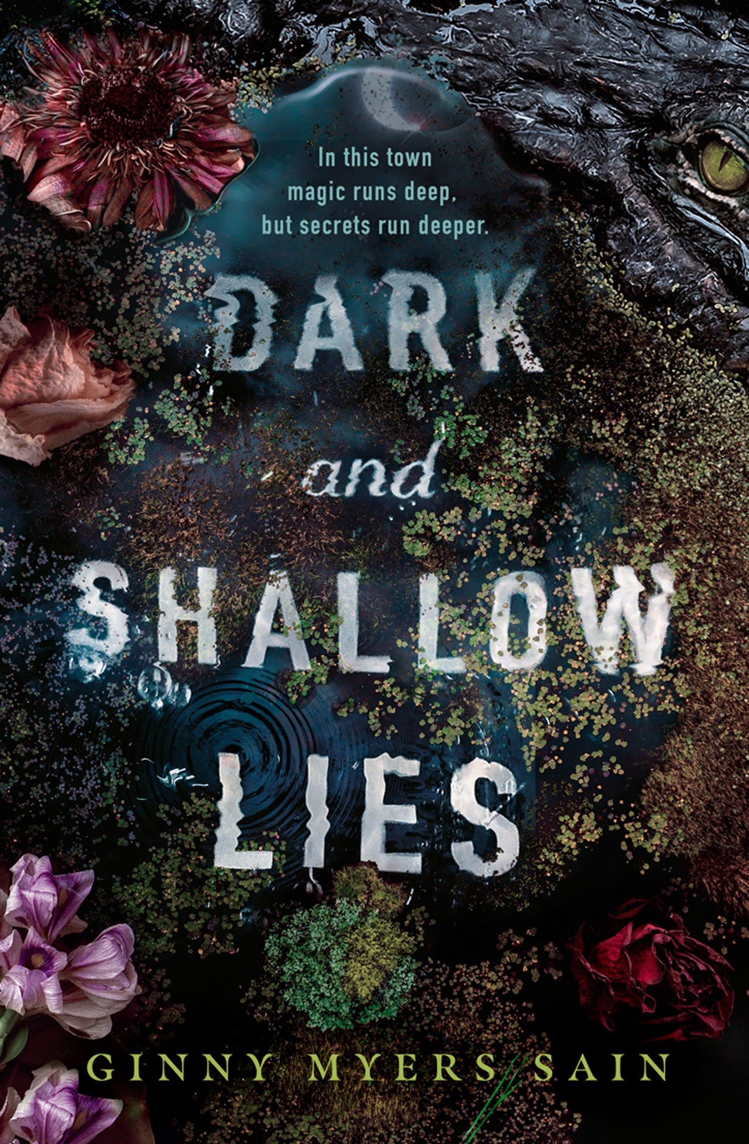 dark and shallow lies cover