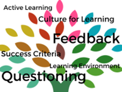 Auditing Teaching and Learning
