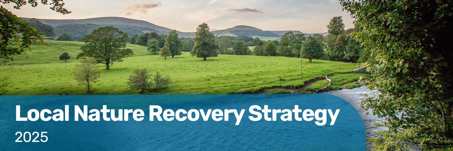 Local nature recovery strategy 2025