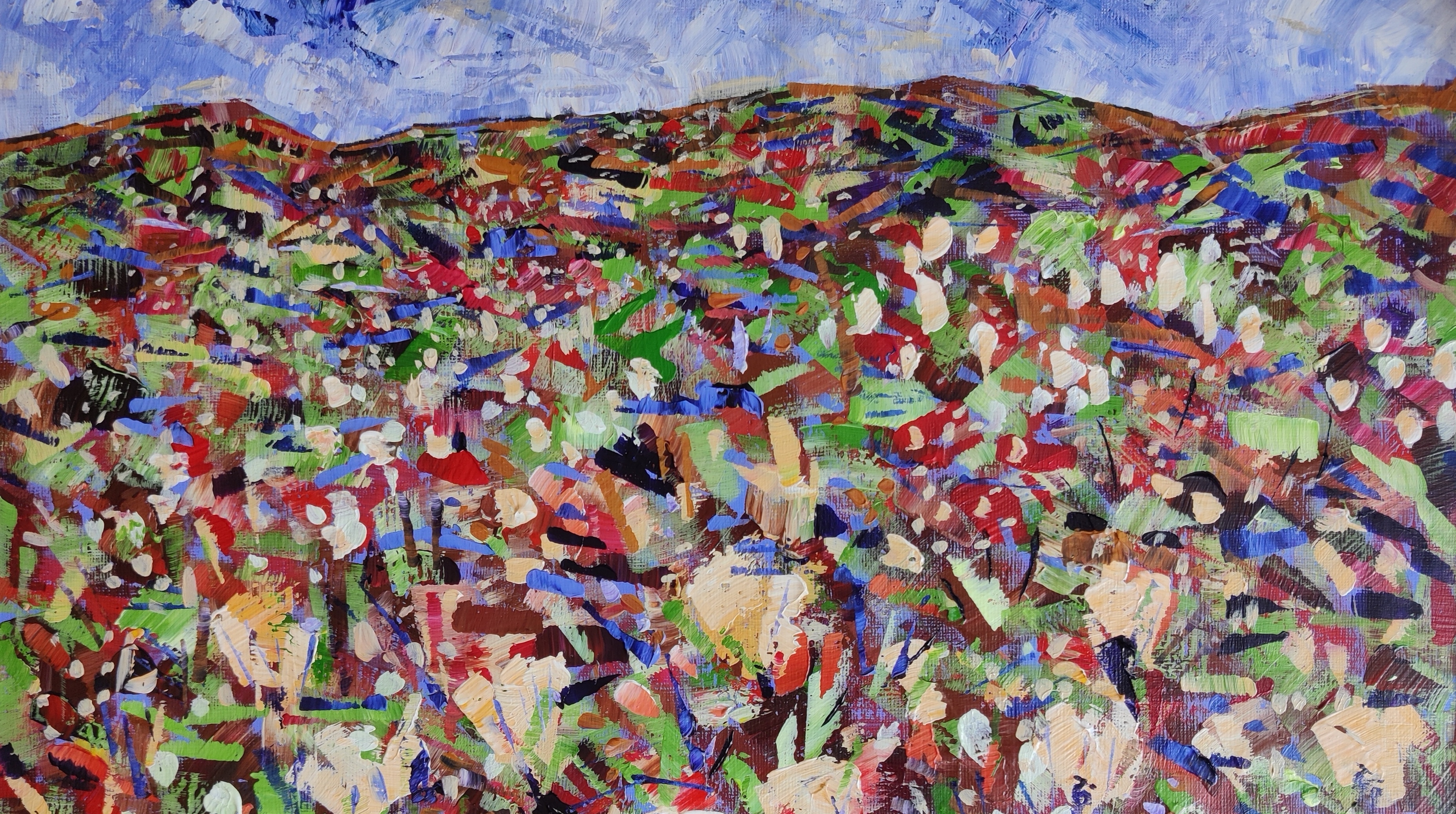 Bog Cotton at White Coppice by Julia Preston
