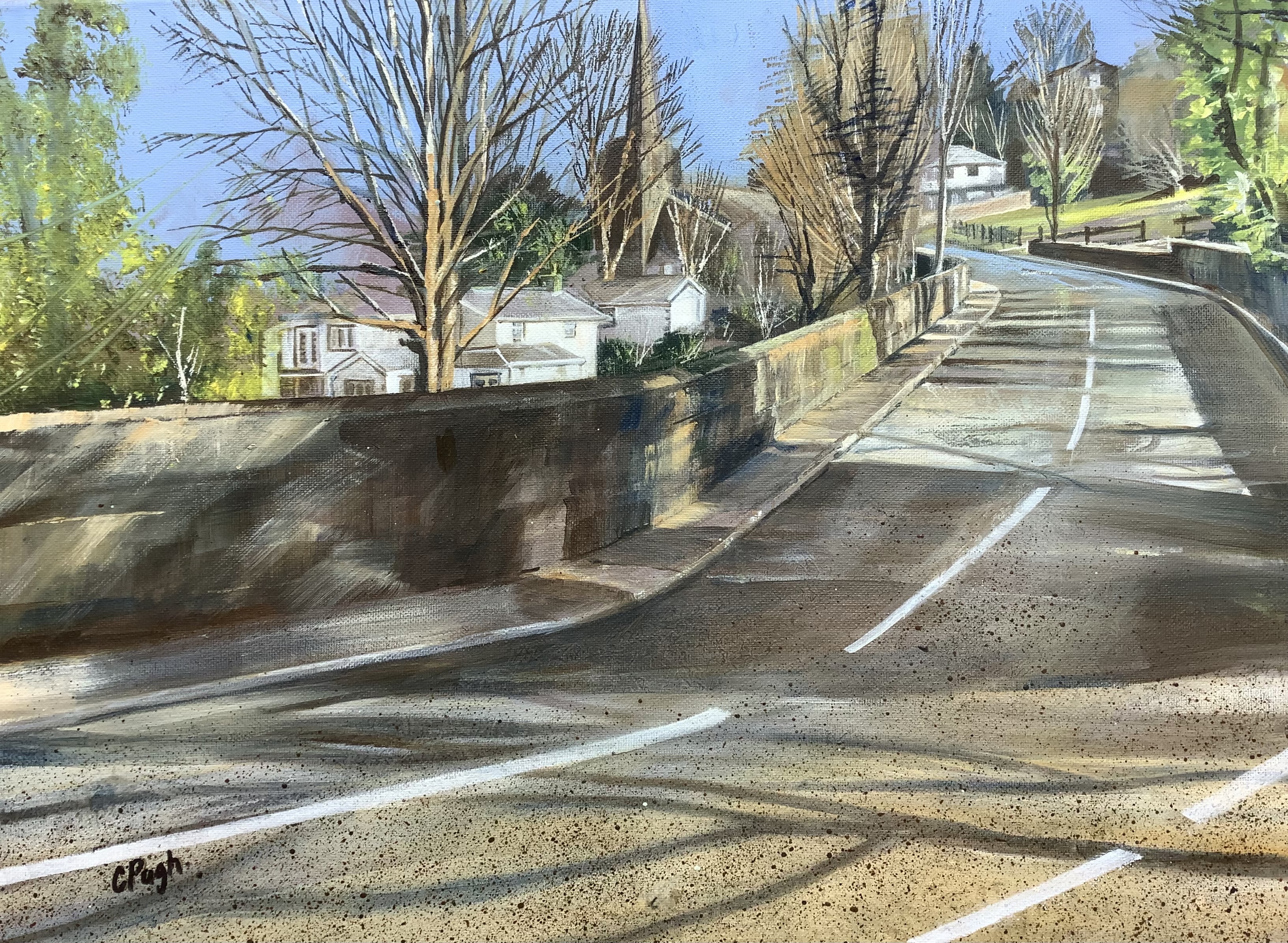 A Winters Walk In Pleasington
